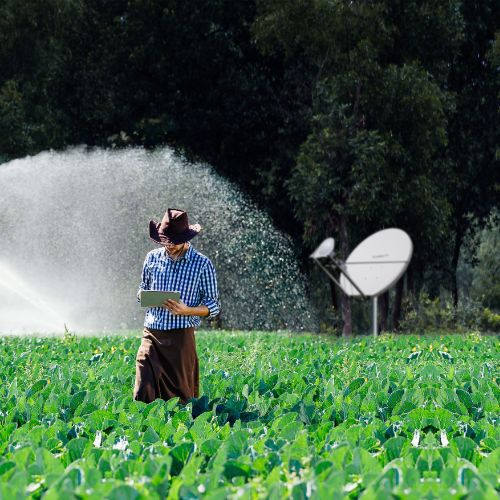 Agricultura e Pecuária